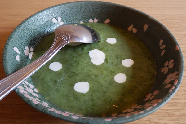 Potage de fanes de radis 