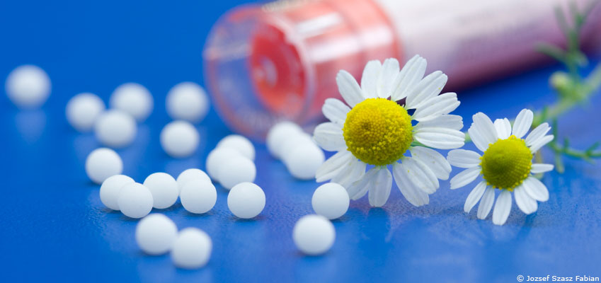 Homéopathie : certains faits sont têtus