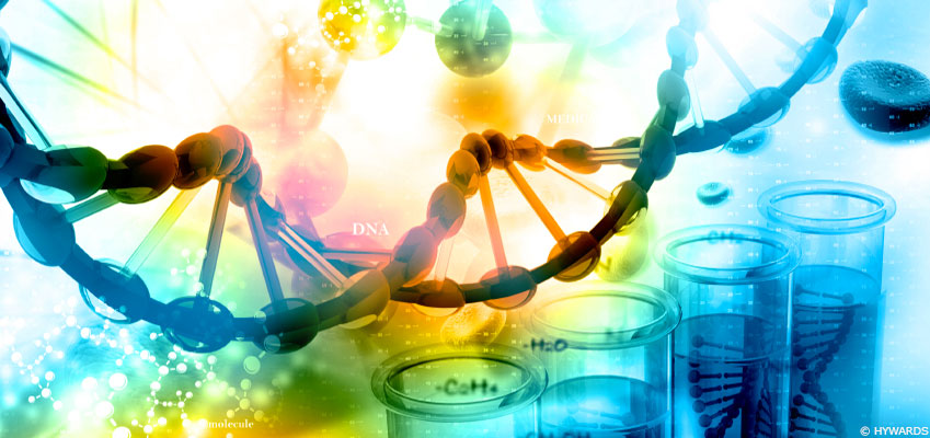 Les causes des maladies chroniques