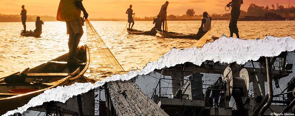 Choisir son poisson : le label MSC en question