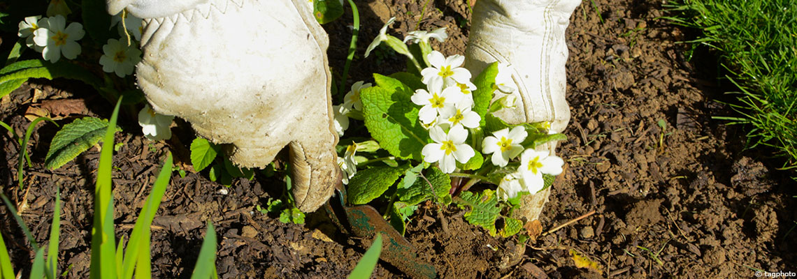 Jardiner sans se faire de mal