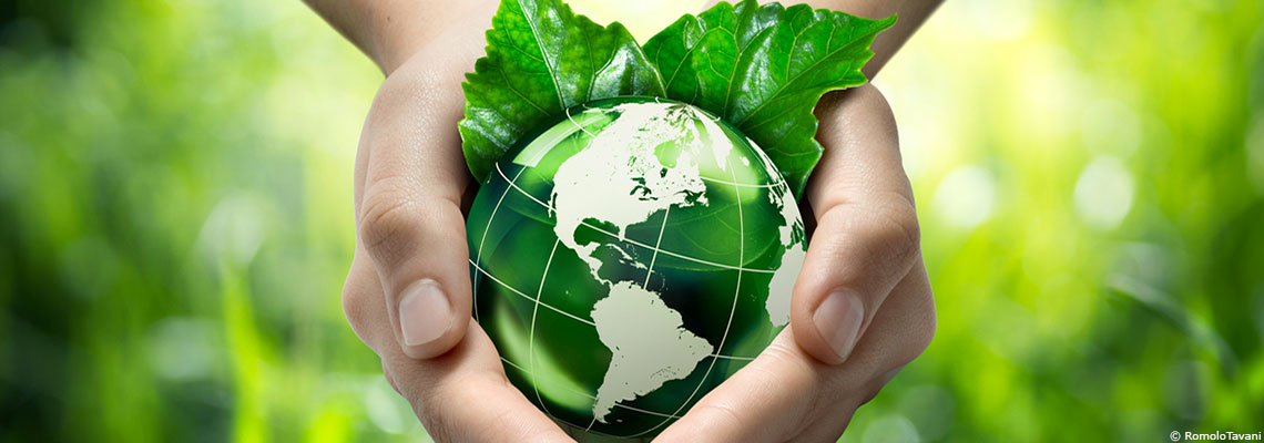 Marseille, Lyon, Bordeaux... Butin record et position de force pour les écologistes