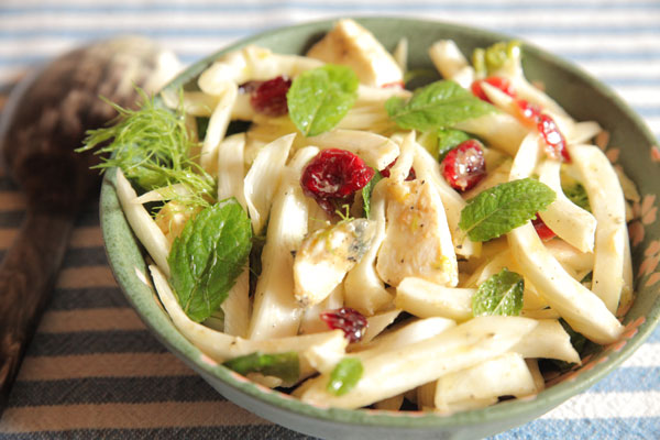 Salade de fenouil et cranberry