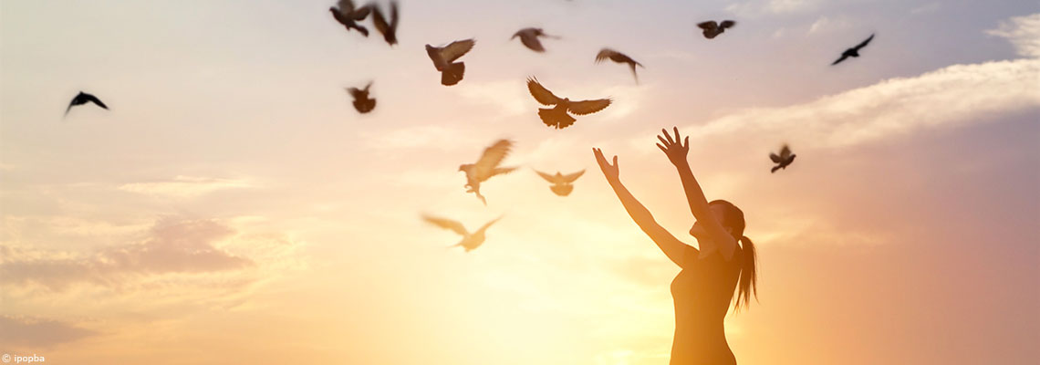 Une boîte à outils pour être heureux