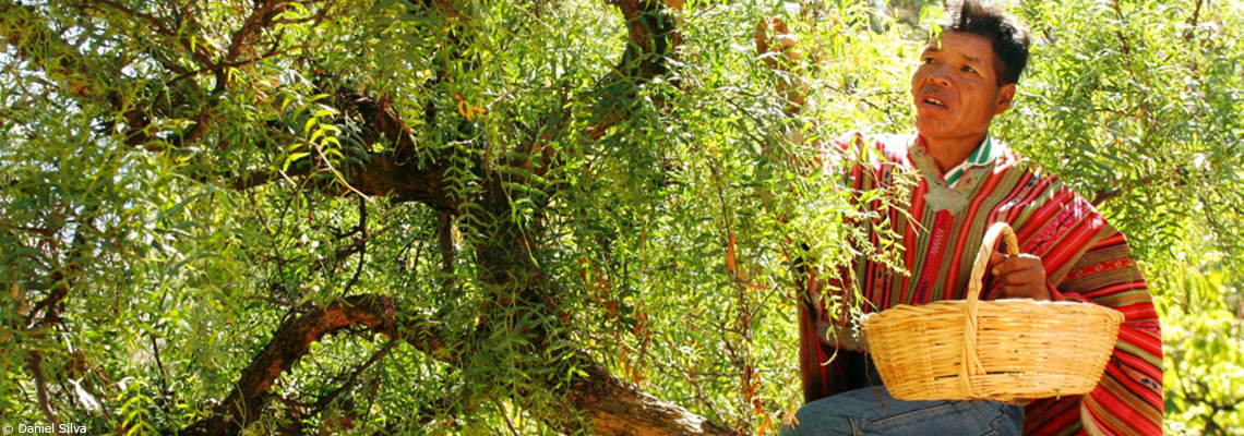 Des cosmétiques naturels et équitables