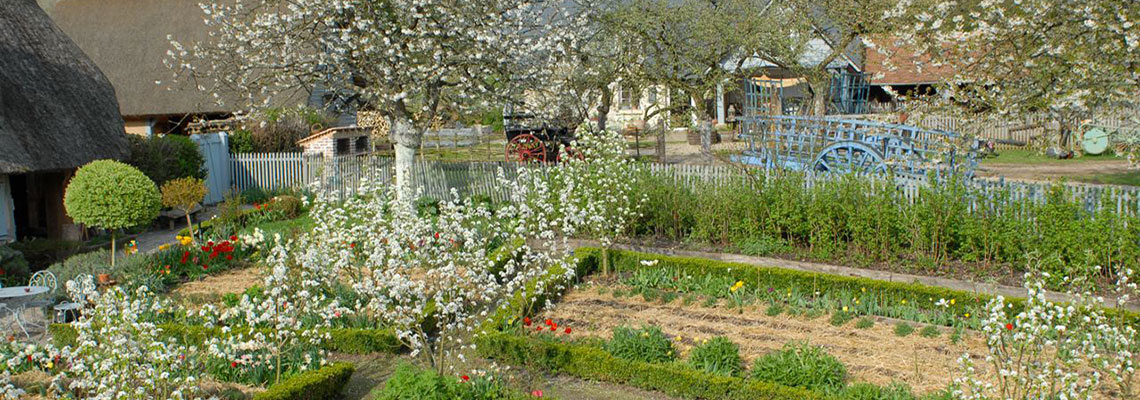 Profession : maraîcher en permaculture