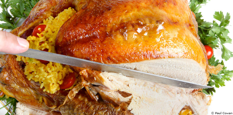 La dinde a tout pour plaire