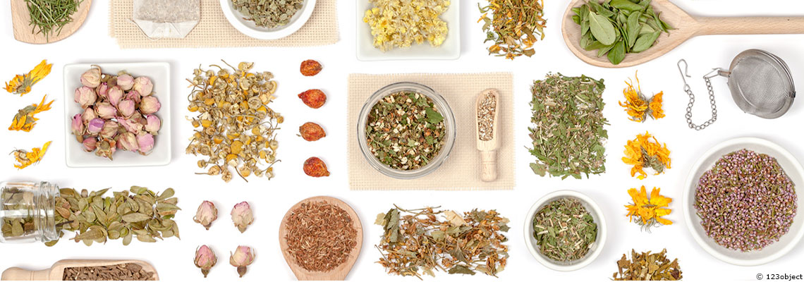 Covid-19 - "Avec les plantes oui, mais pas n’importe comment, ni avec n’importe quoi"