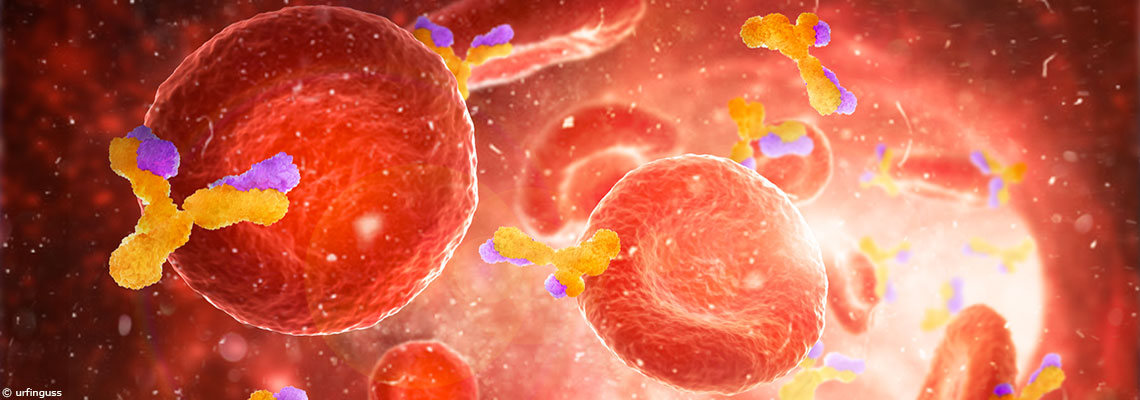 Le SARS-CoV-2 a une préférence pour le groupe sanguin A