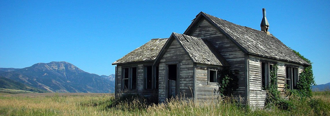 Le bois : matériau écologique pour la construction