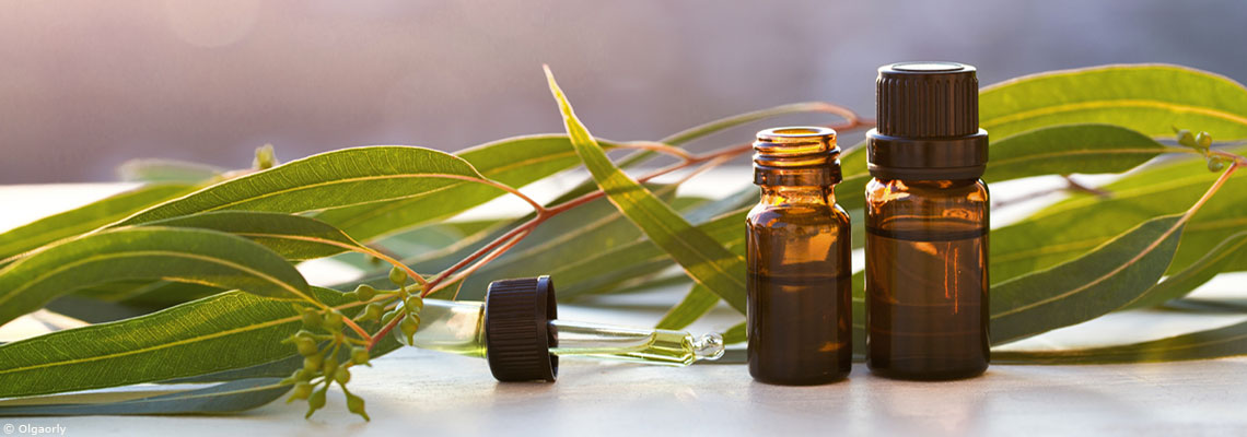 Épidémies virales : quelques astuces pour mieux leur résister au naturel