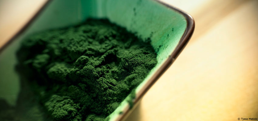 La spiruline : l'or vert 