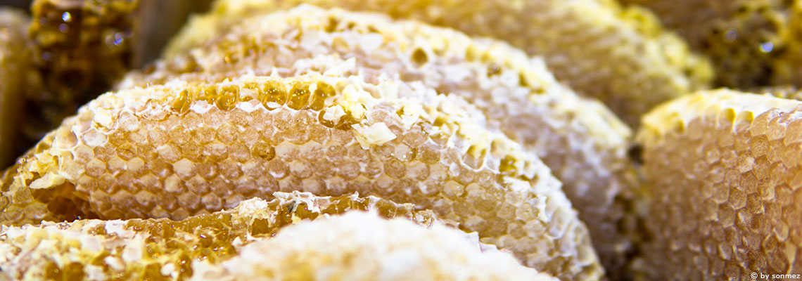 Propolis : antibactérienne et antivirale, mais surtout anti-inflammatoire