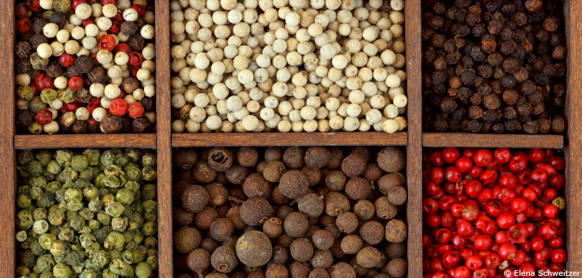 Le poivre : le plaisir de Vénus