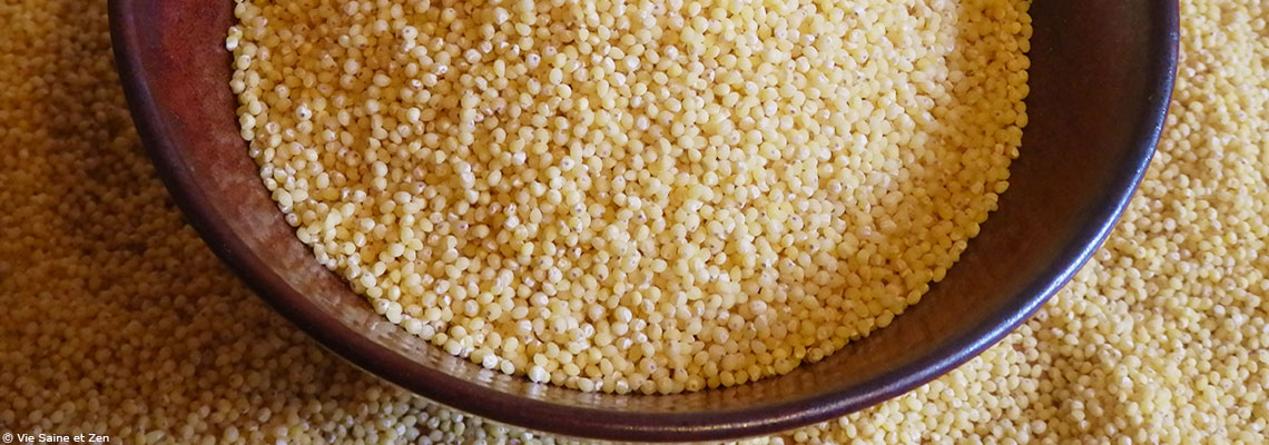 Le millet : le petit mil