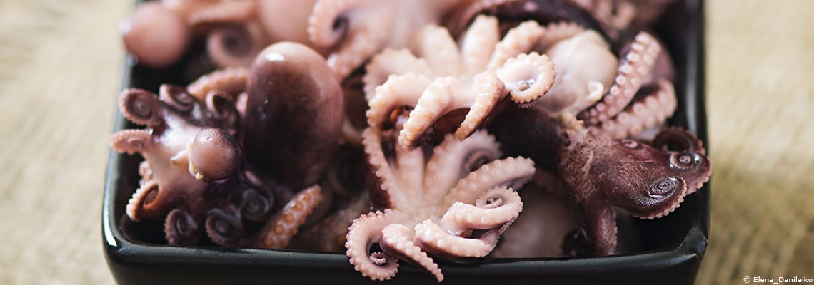 Calamar, poulpe et seiche