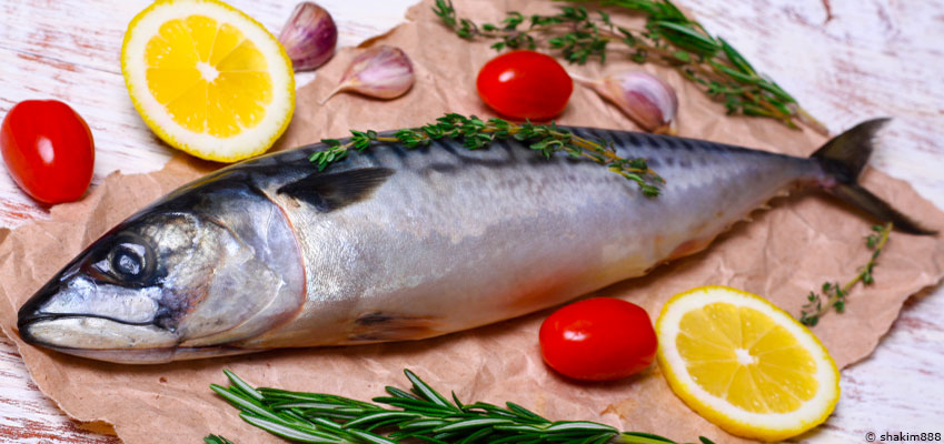 Le maquereau : des oméga-3 dans notre assiette