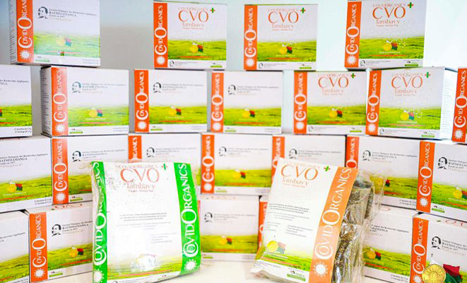 L'Artemisia en traitement covid : non conventionnel mais efficace ?