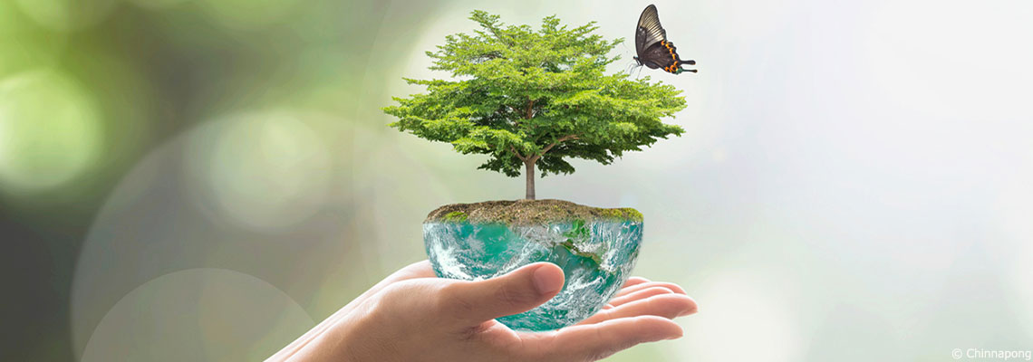 L’accès à un environnement sain déclaré droit de l’homme, vraiment ?