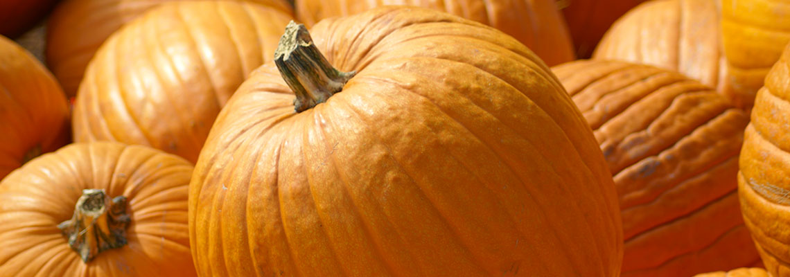 Le potiron : la star d'Halloween