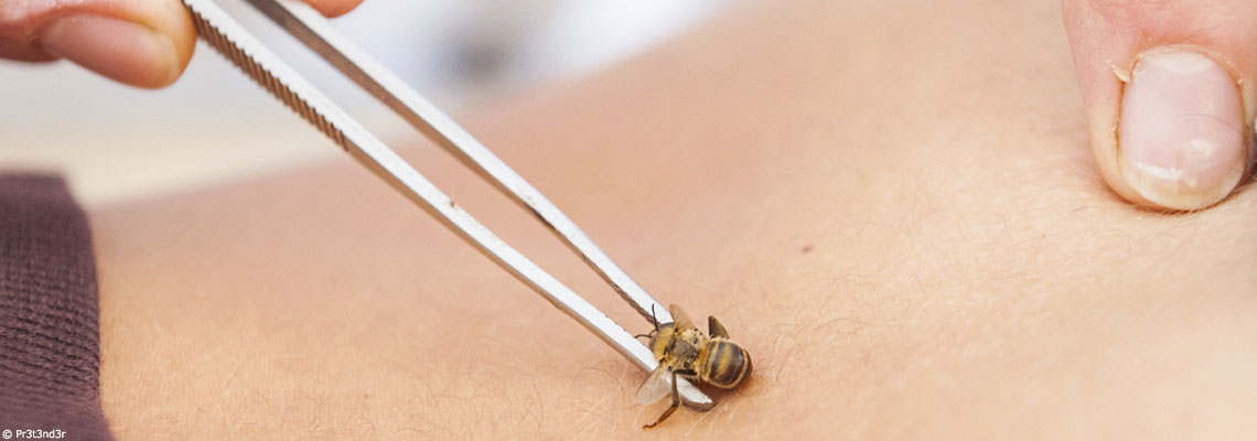 Apithérapie et médecine traditionnelle chinoise