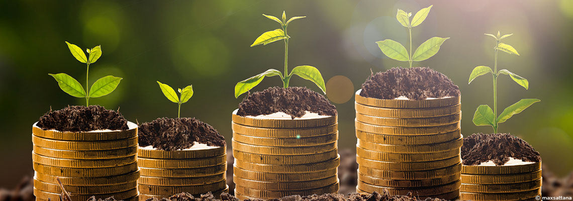 “Moins mais mieux”, les Français aspirent à une société écologique