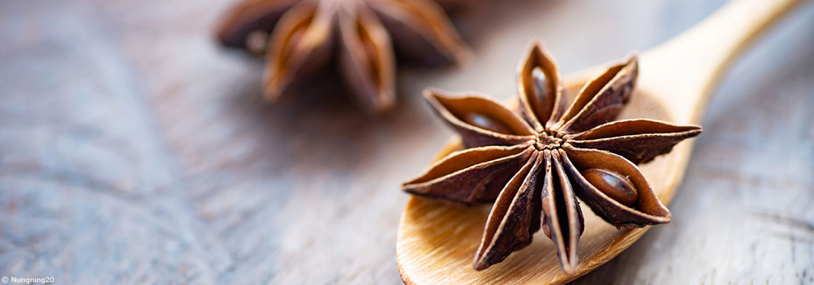 La badiane ou anis étoilé