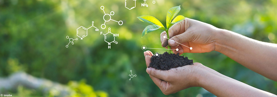 Vers une agriculture zéro pesticide ?