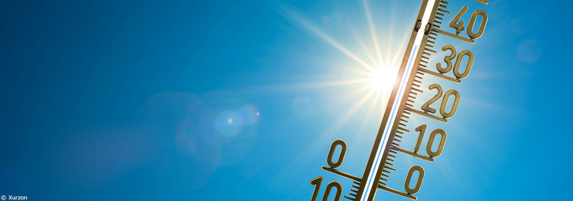 Lesquels de nos organes sont les plus menacés par la canicule ?