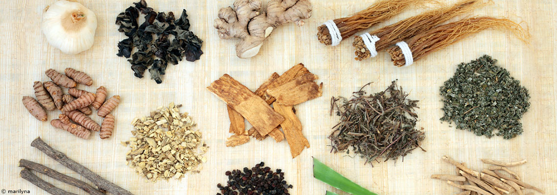 Les plantes adaptogènes