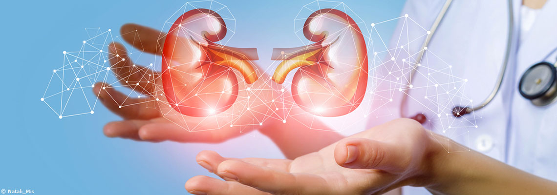 Bien protéger ses reins