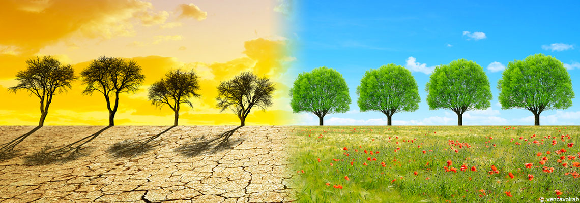 Solidarité Nord-Sud, financements, débats sur le 1,5 °C, méthane : ce qu’il faut retenir de la COP27