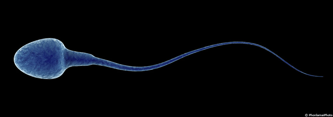 Un déclin mondial de la fertilité masculine qui s’accélère