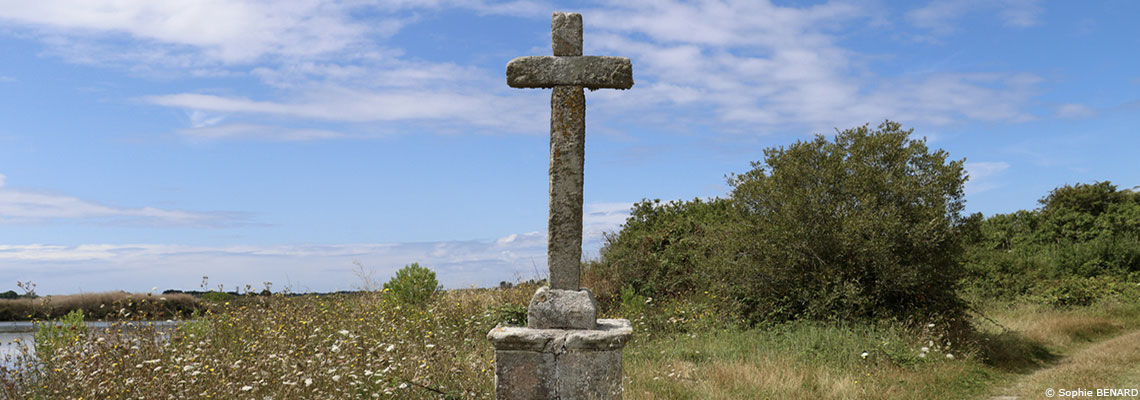L'écologie : nouveau credo de l’Église catholique ?