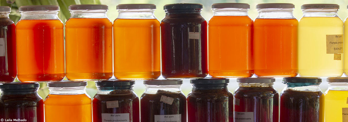 Gare au faux miel dans les supermarchés !
