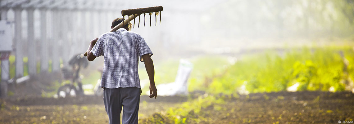 L'agriculture fait sa transition verte : les pistes d'avenir dans l’UE