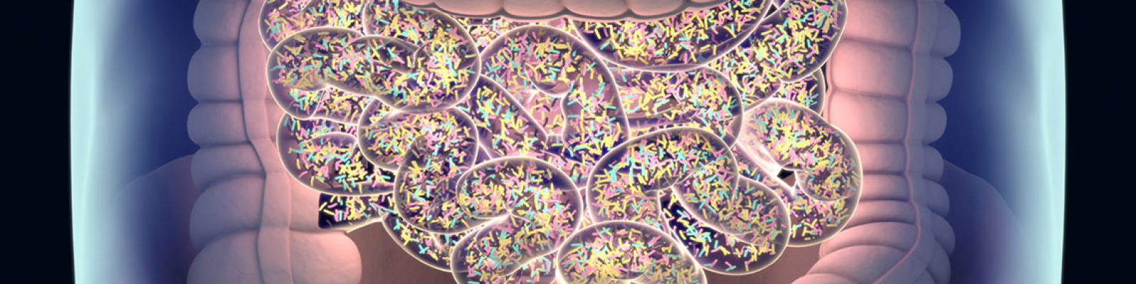 Ferments lactiques, nos amis à vie