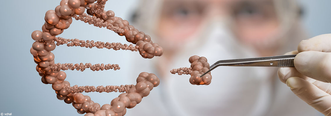 Anses : L’agence sanitaire propose des garde-fous face aux "nouveaux OGM"