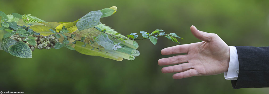 Les Français sont favorables à la sobriété, mais ils ont déjà le sentiment d’en faire assez