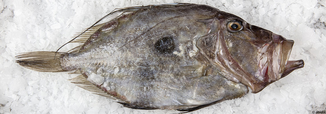 Le Saint-pierre : au sommet de l’Olympe