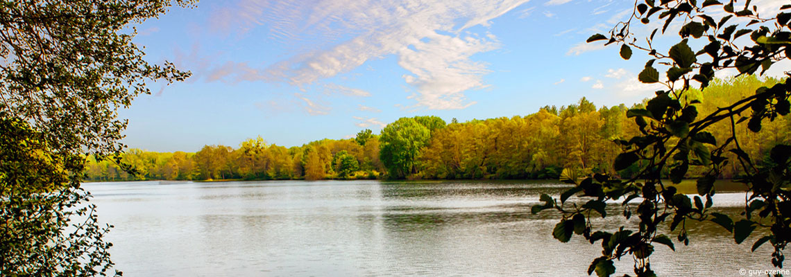 Polluants éternels : toutes les rivières d’Europe sont contaminées aux PFAS
