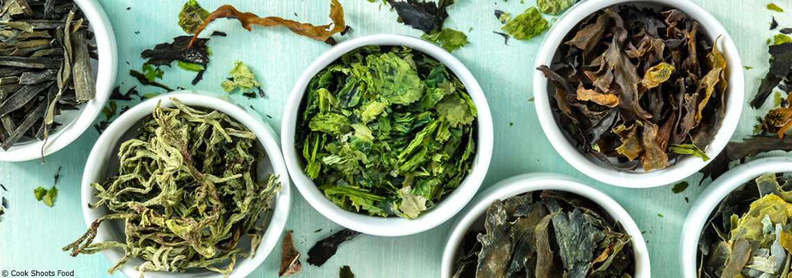 Des algues au quotidien