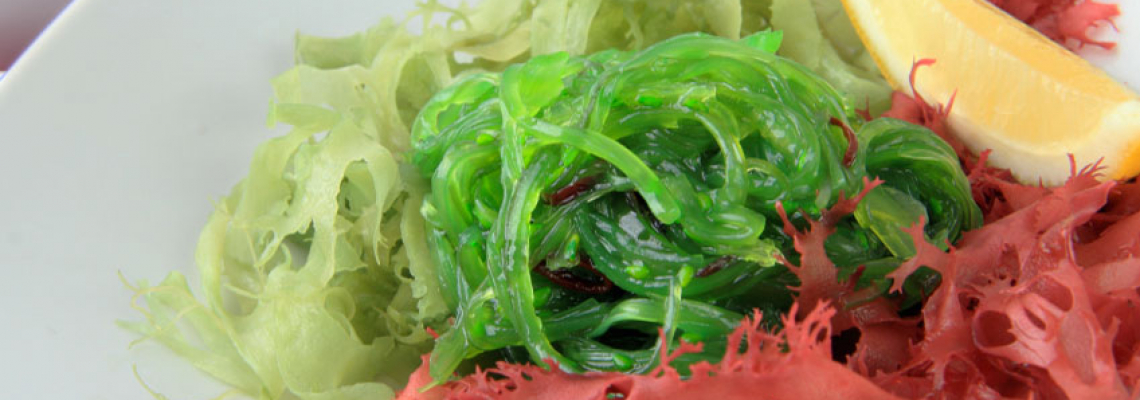 Une alimentation à base de protéines végétales est-elle bonne pour la santé ?