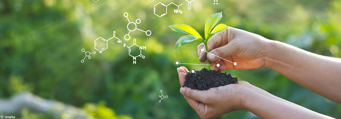 Les effets avérés de la nature sur la santé