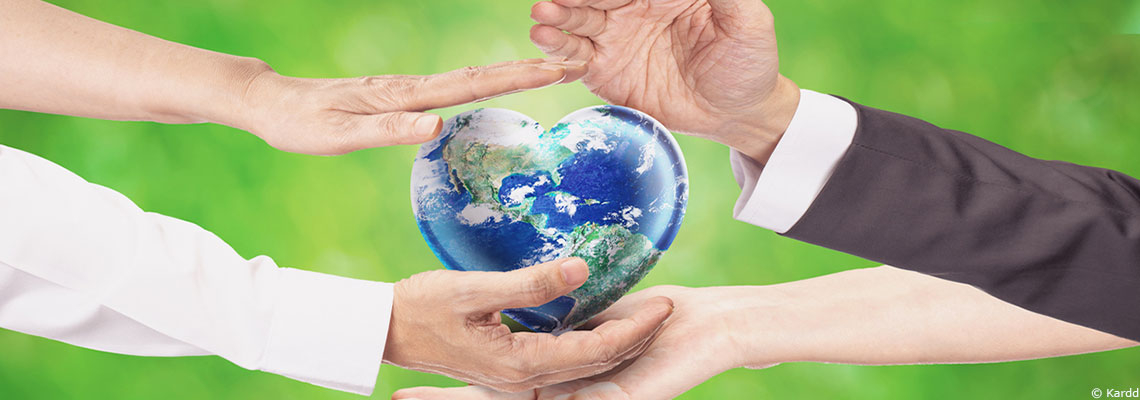 COP16 Biodiversité : des avancées majeures et un échec sur les financements