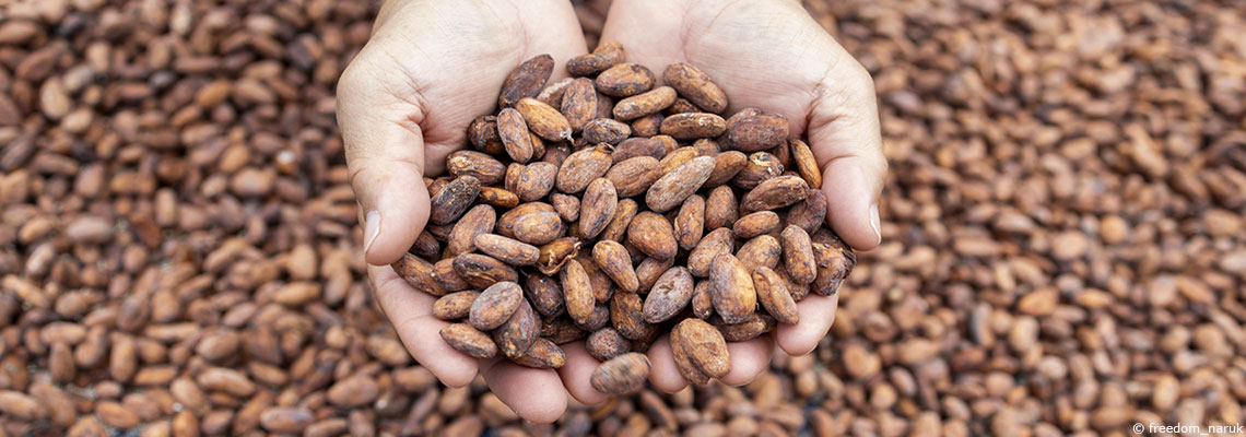 Cacao, café, vanille… Des produits importés au détriment de la planète et des droits humains
