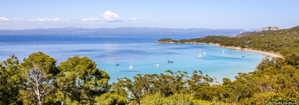 Cinq questions pour tout comprendre aux aires marines protégées, au cœur de la conférence mondiale sur l’océan à Nice