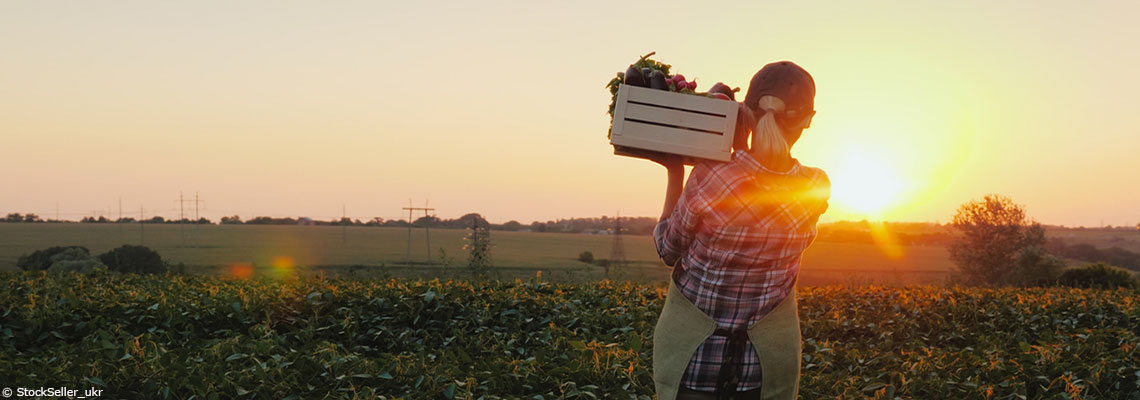 Une agriculture 100 % bio en France est-elle possible ?