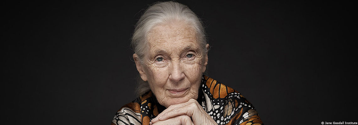 Jane Goodall, une vie au service du vivant