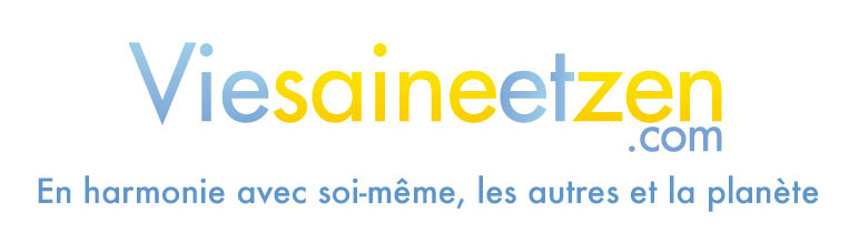 DEV Vie Saine et Zen